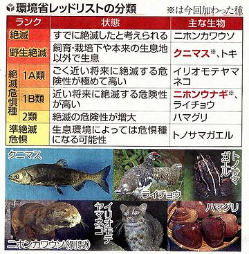 第一、ニホンウナギだって絶滅危惧種なんですよ(2013年の指定でした)