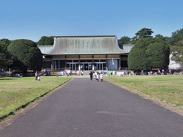 建物の左右に立つ丸い樹冠の木です