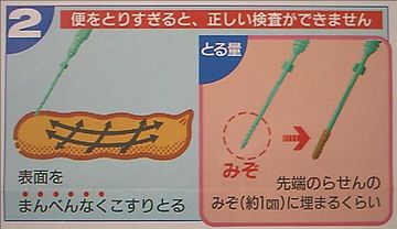 なかなか、こんなに上手く取れんのよ