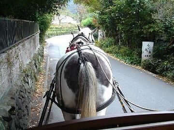 由布院・石垣沿いを歩む馬