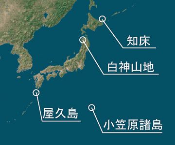 自然遺産としては、屋久島とともに日本で最初の登録です