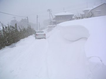 道がカーブしてることに気づかないで、真っ直ぐ行っちゃったんだね