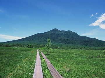『尾瀬ヶ原』に敷かれた木道