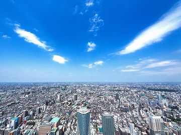 冬は毎日晴れて、快適よ