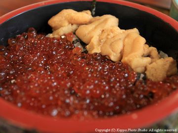 豪華版では、『うにイクラ丼』の2,600円