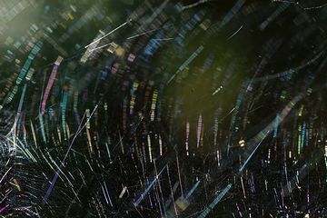 ごはん粒の衝撃で、巣がブンブン揺れました