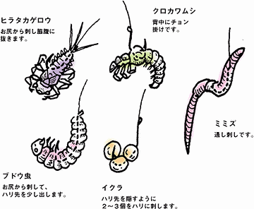 あまりにも無残。イクラにしましょう。