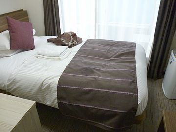 いきなり、お部屋の写真