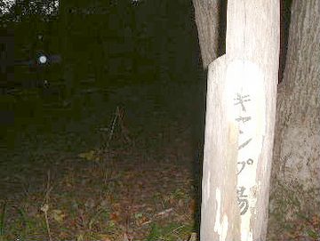さっきは、ただの朽木だと思ってたけど