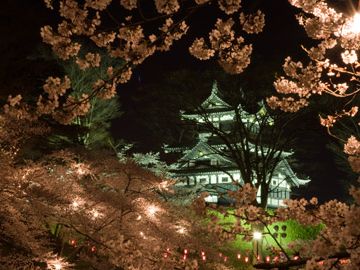 高田城のサクラが有名だよ