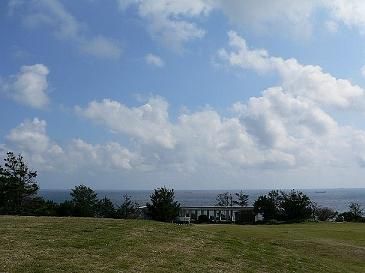 潮岬・望楼の芝