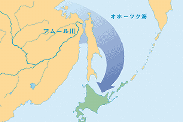 北海道のオホーツク海沿岸・流氷の経路