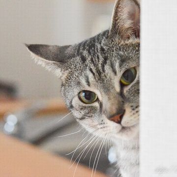 ワクワクしながら待ってた