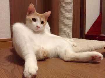 大したことないですよ