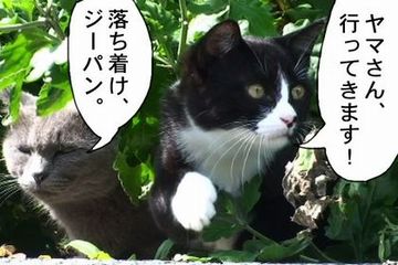 刑事が、“アリバイ”なんて用語を使うわけあるかい