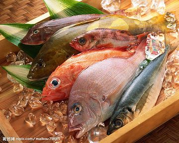 海鮮好きには、堪えられまへんな