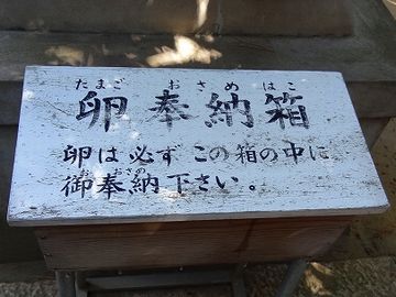 夏場なんか、処分が大変でしょうね