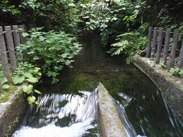 山に蓄えられた雪解け水が、用水として田んぼを潤す
