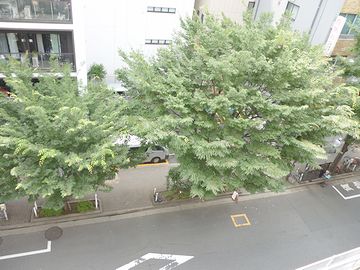 歩道橋のたぶんてっぺんから見下ろした写真