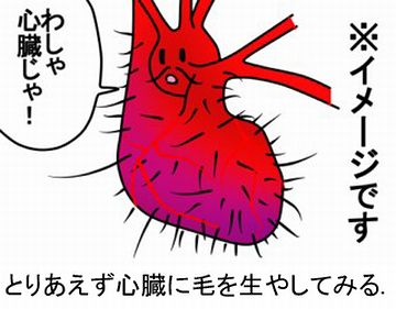 度胸あるよ、そういう男