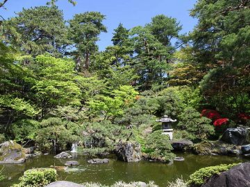 砂丘の斜面に、庭を作ったからよ