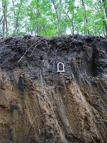 関東ローム層の最上部は、腐植を含んだ黒土