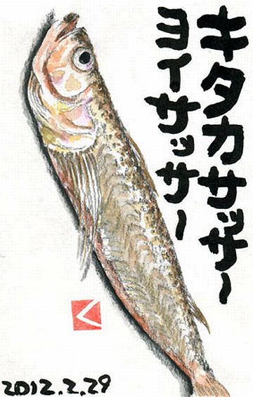 キタカサッサー、でしょ