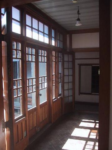 今、ちょうど陽があたってます