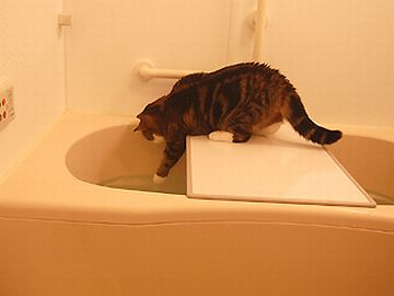 お湯加減