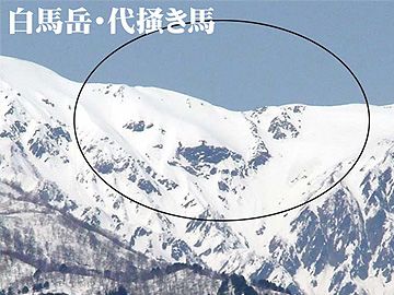 白馬岳の「代掻き馬」