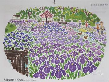 6月のイラストは、大阪市の『城北菖蒲園の花菖蒲』