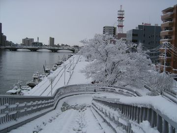 柳都大橋の階段