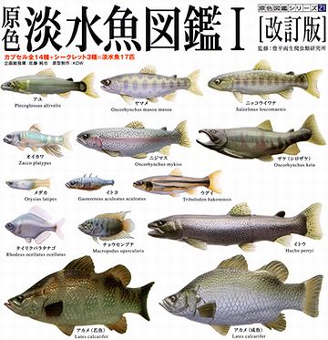 淡水魚だけの水族館って、無いもんですかね？