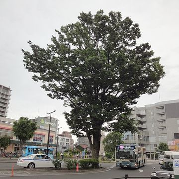 『花小金井駅北口』で、バスを降りたところ