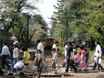 芦野公園の花見だ