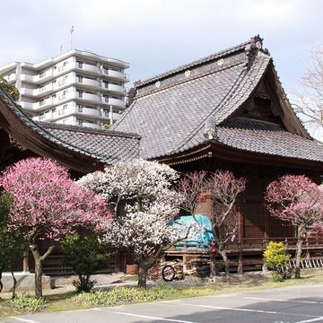 『蒲原神社』。梅の名所でもあります。