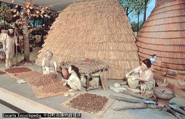 縄文人の生活。新潟県『十日町博物館』の展示。