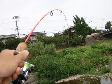 竿が引っ張り出せないんだ