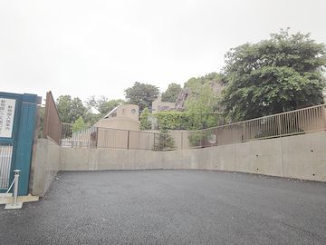 『上野動物園』の裏側です