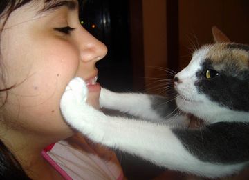 ま、キスくらいは済ませたかも知れんが