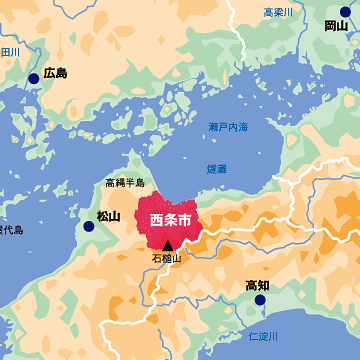 伊予国西条藩