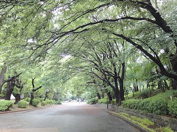 上野の森