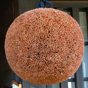 蜂の巣?