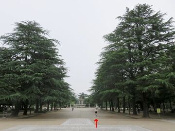 名古屋市の鶴舞公園