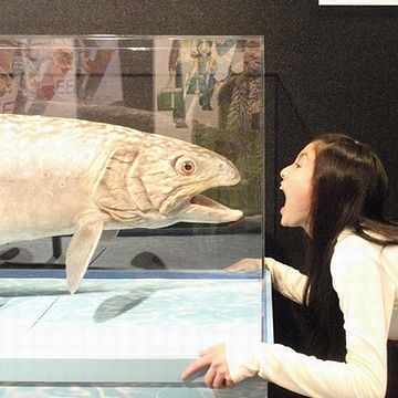 女の子は、劇場版『釣りキチ三平』のゆりっぺ役・土屋太鳳(たお)ちゃん