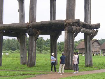 これは、6本もあるのよ