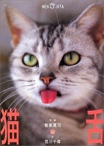 猫舌