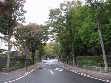 千秋公園・中土橋通り