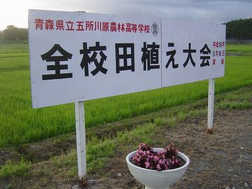 やっぱり、やることが違います