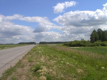 シベリアの夏。北海道に似てますよね。